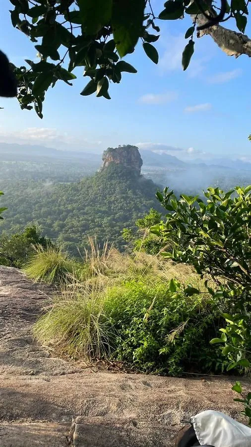 ゲストハウス ホテル Sigiriya Water Guest & View Point Restaurant