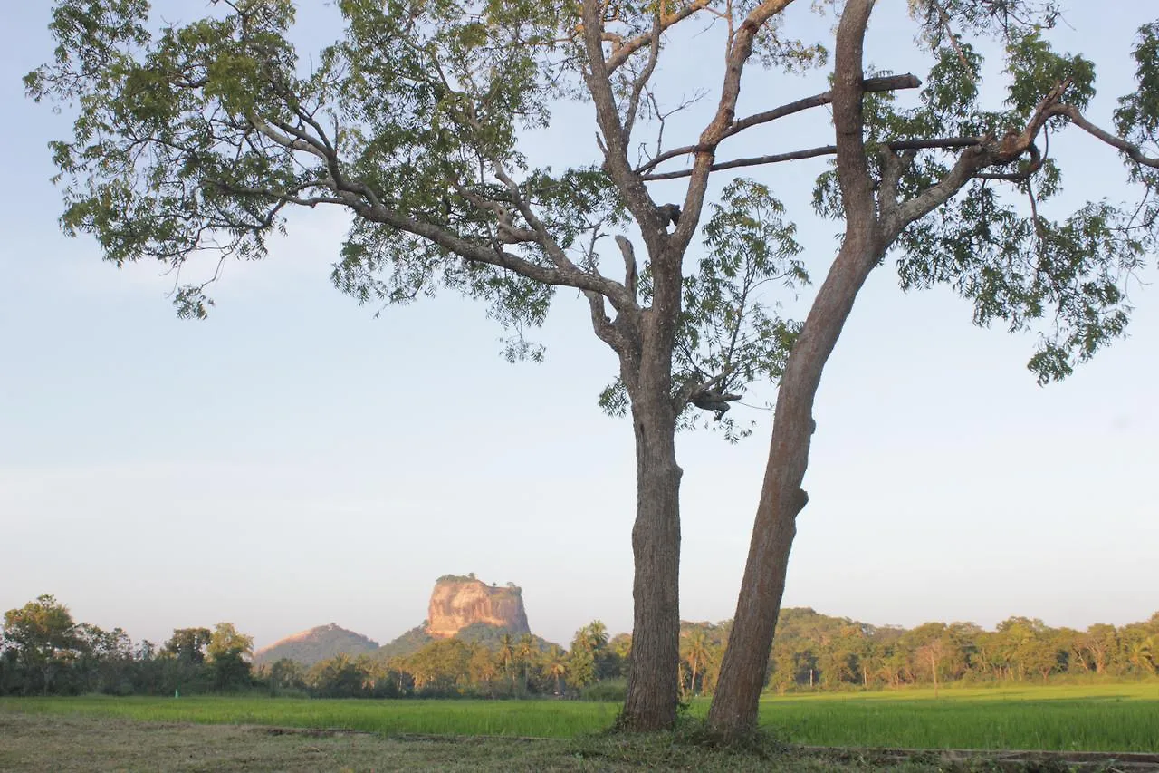 فندق Sigiriya Water Guest & View Point Restaurant