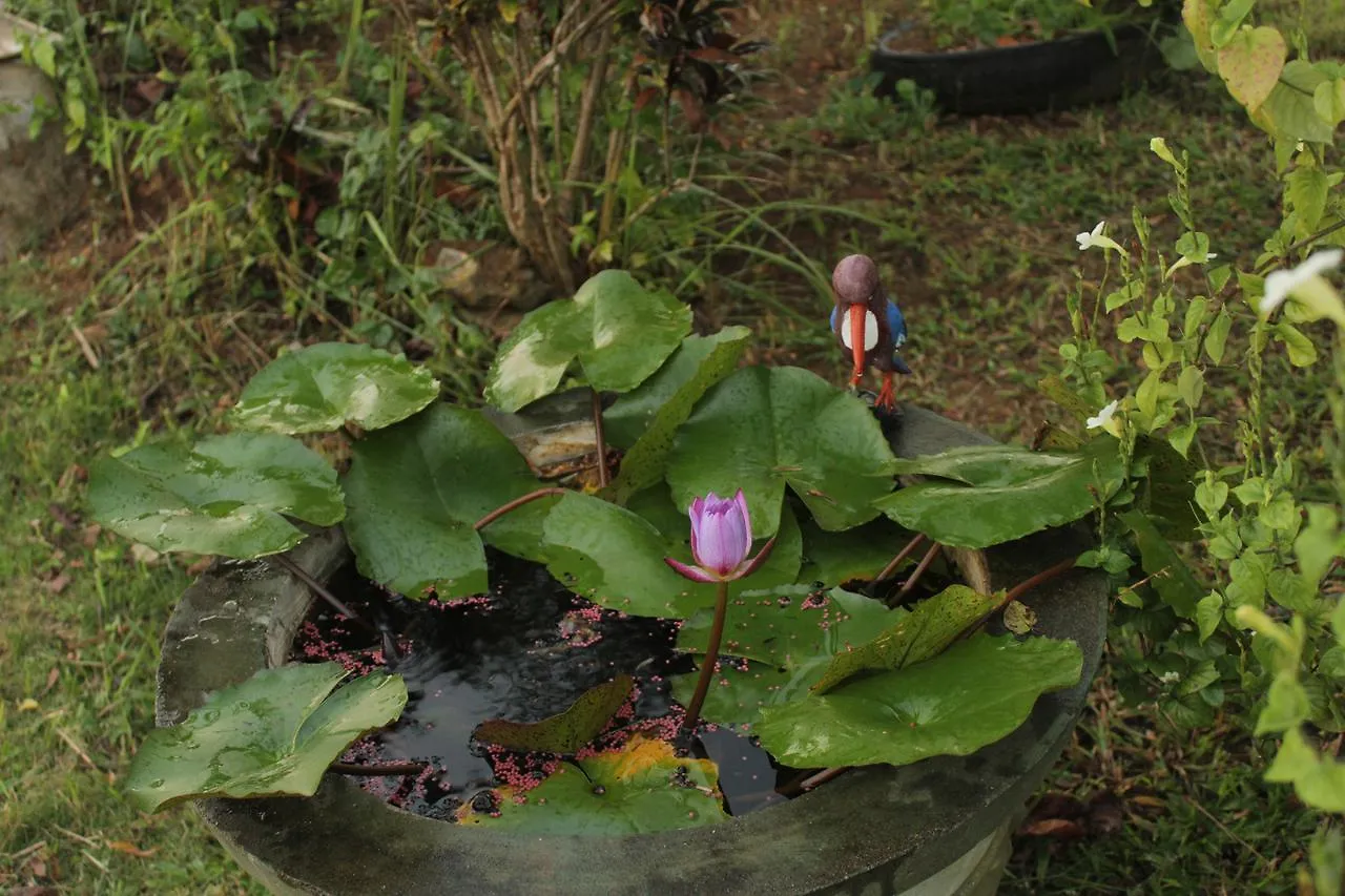 ホテル Sigiriya Water Guest & View Point Restaurant スリランカ