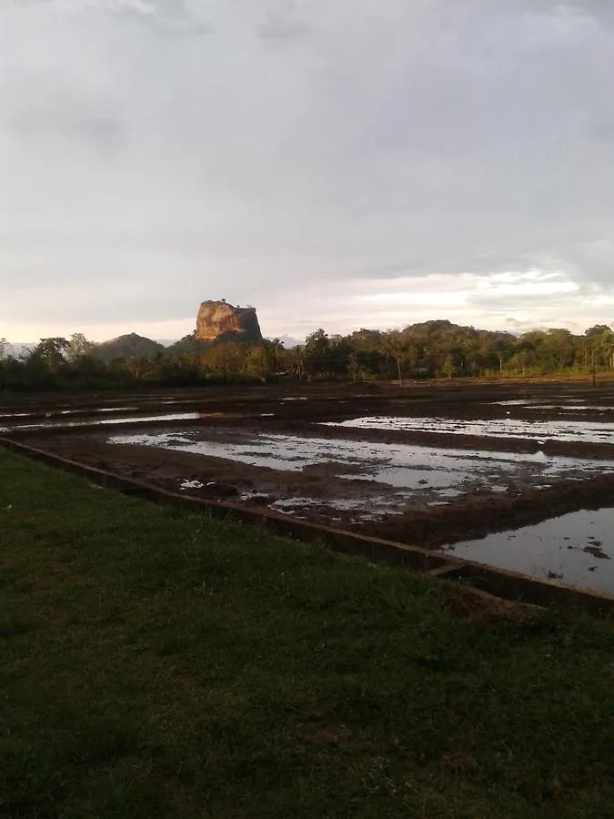 ゲストハウス ホテル Sigiriya Water Guest & View Point Restaurant