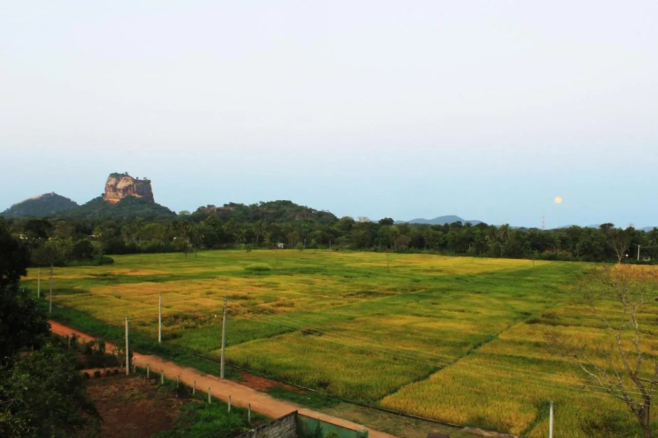 ホテル Sigiriya Water Guest & View Point Restaurant ゲストハウス