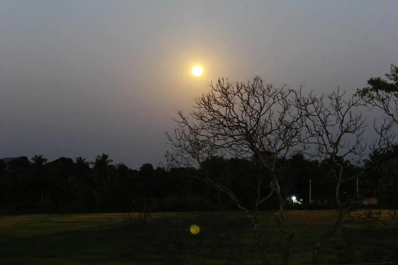 Отель Sigiriya Water Guest & View Point Restaurant